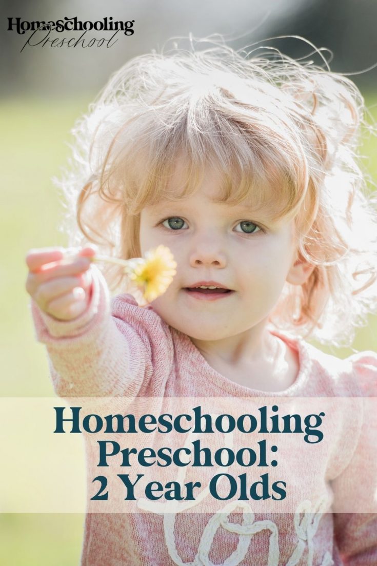 Homeschool Preschool for 2 Year Olds Homeschooling Preschool