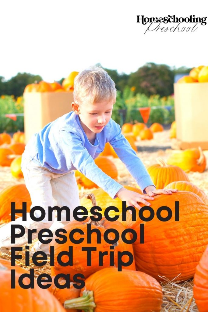 Homeschool Preschool Field Trip Ideas