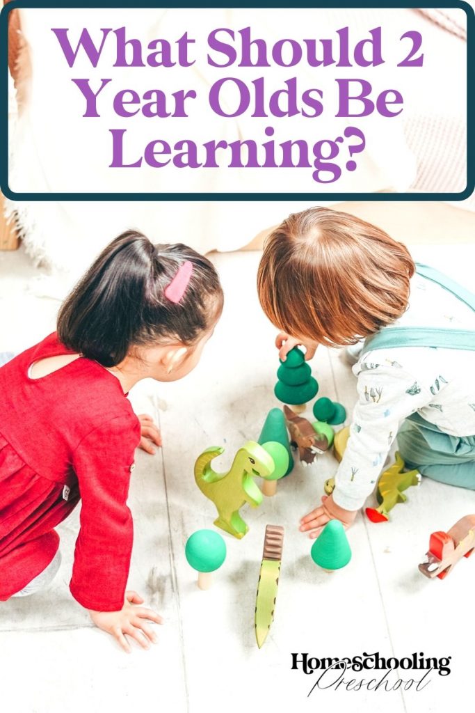 What Should 2 Year Olds Be Learning