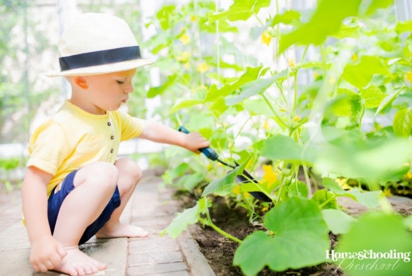 15 Outdoor Spring Learning Activities for Preschoolers