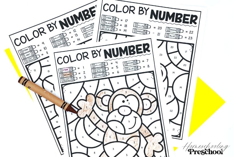 ZOO ANIMAL COLOR BY NUMBER 