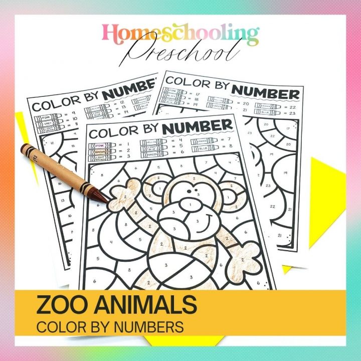 ZOO ANIMAL COLOR BY NUMBER