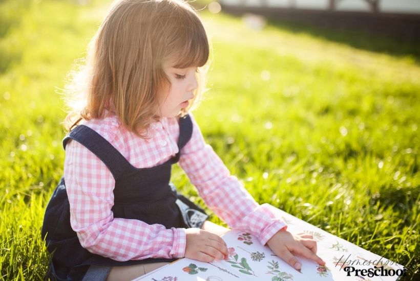 Books About Flowers for Preschoolers