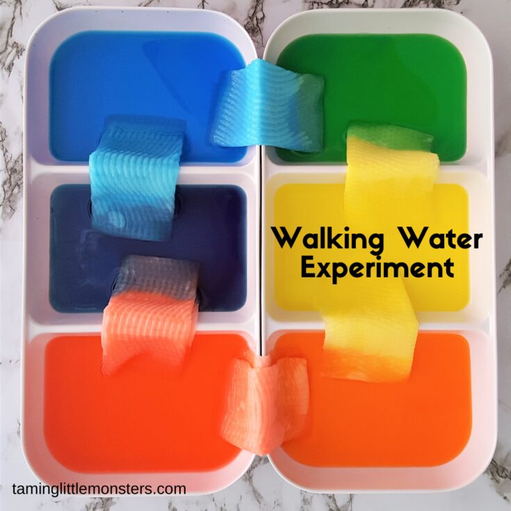 Image for Walking Water – Science for Kids