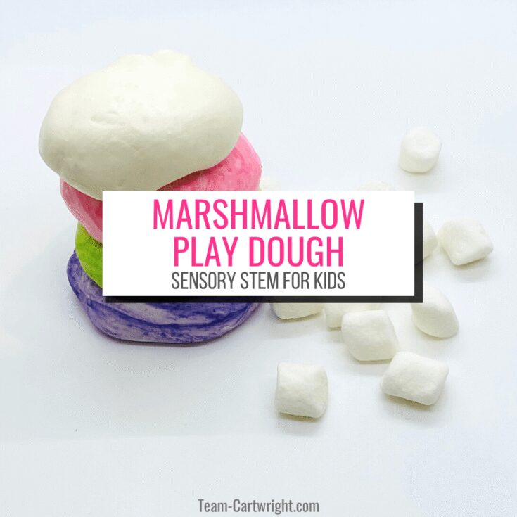 Image for Edible Marshmallow Play Dough