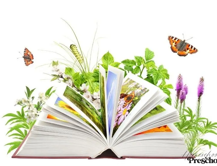 Books About Insects for Preschoolers