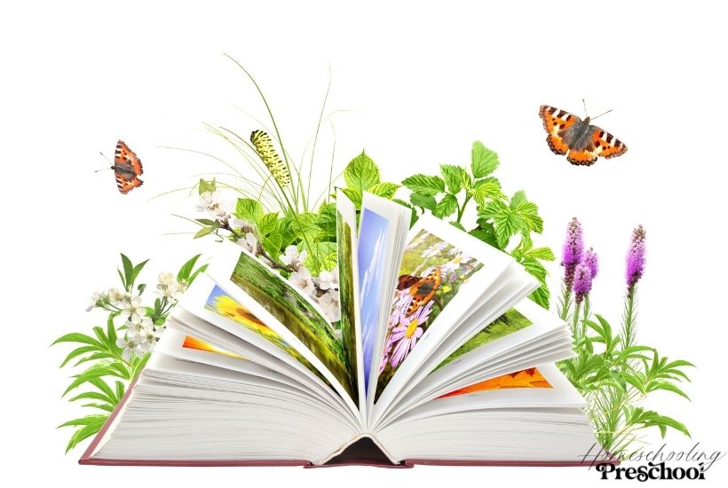 Books About Insects for Preschoolers