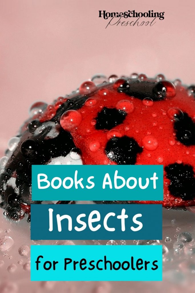 Books About Insects for Preschoolers