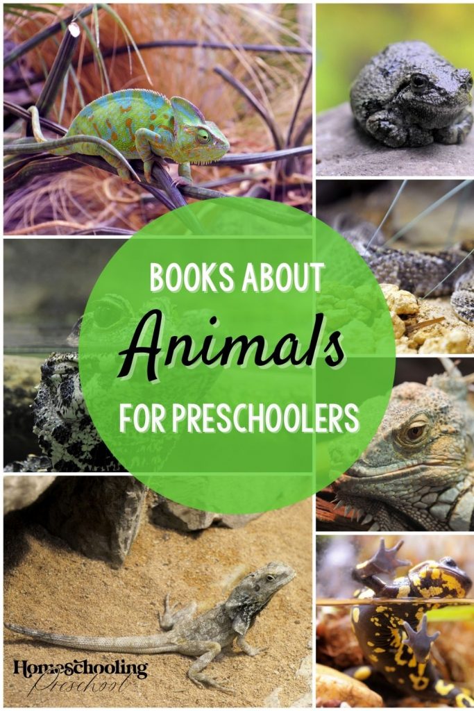 Books About Animals for Preschoolers