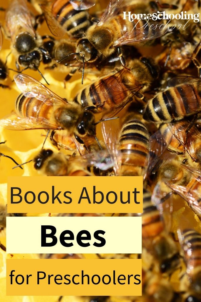 Books About Bees for Preschoolers