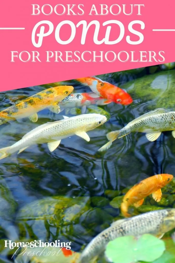 Books About Ponds for Preschoolers