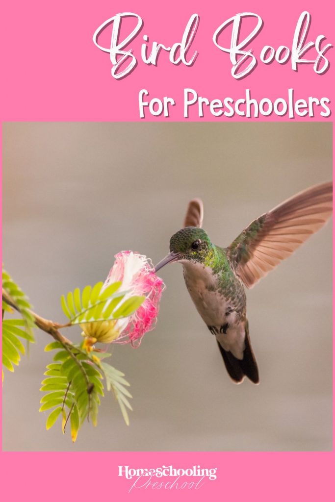 bird books for preschoolers