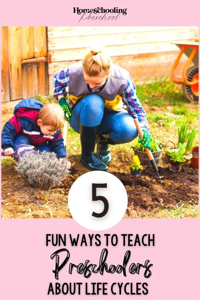 5 Fun Ways to Teach Preschoolers About Life Cycles