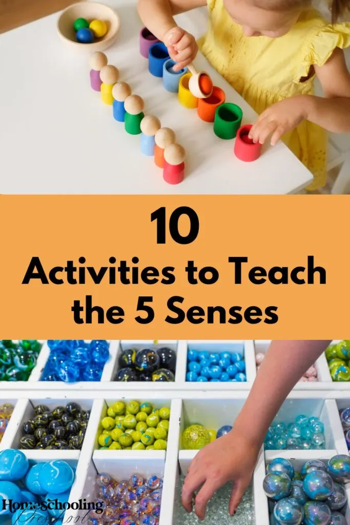 10 Activities to Teach the 5 Senses