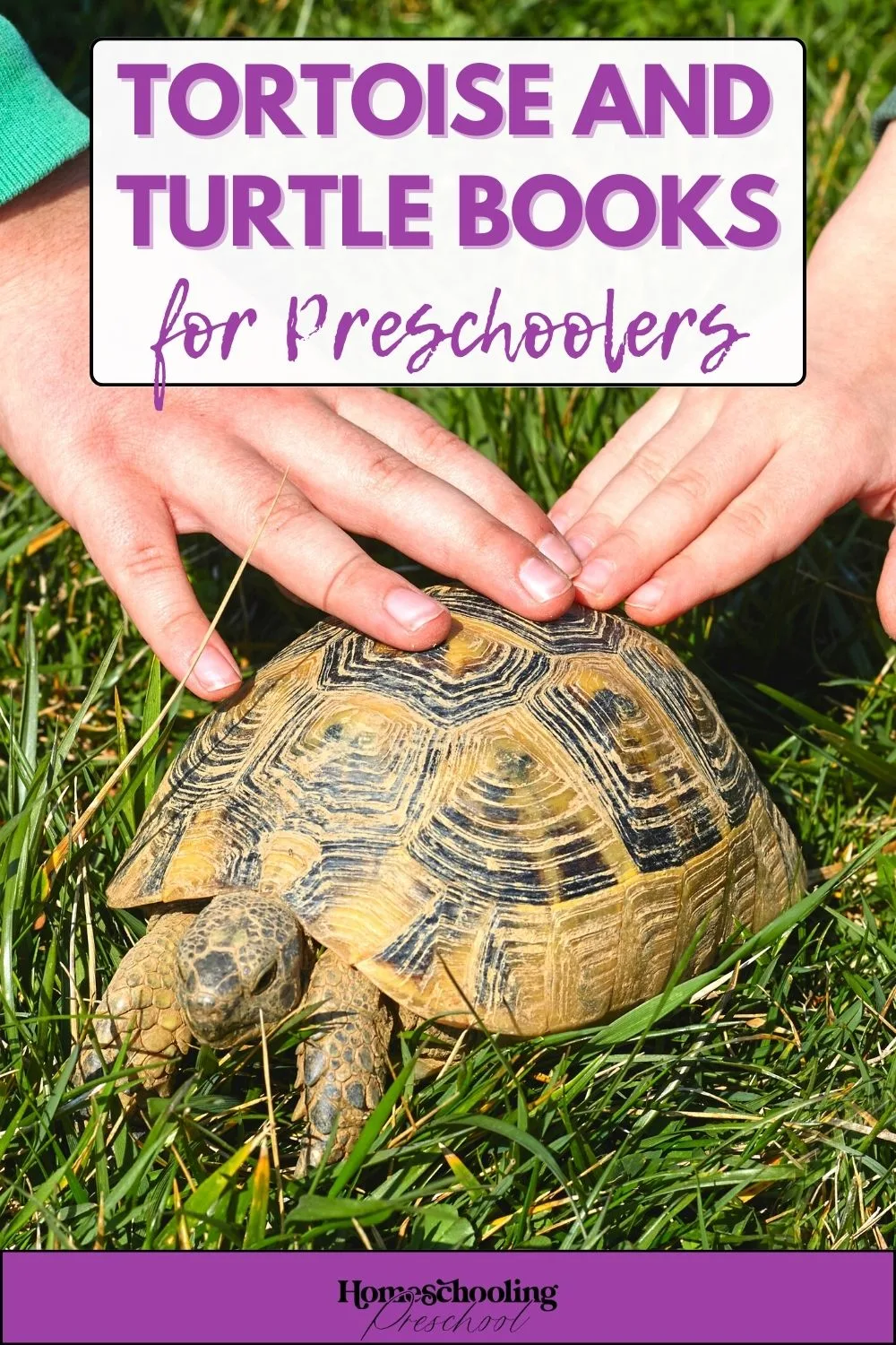 Tortoise and Turtle Books for Preschoolers