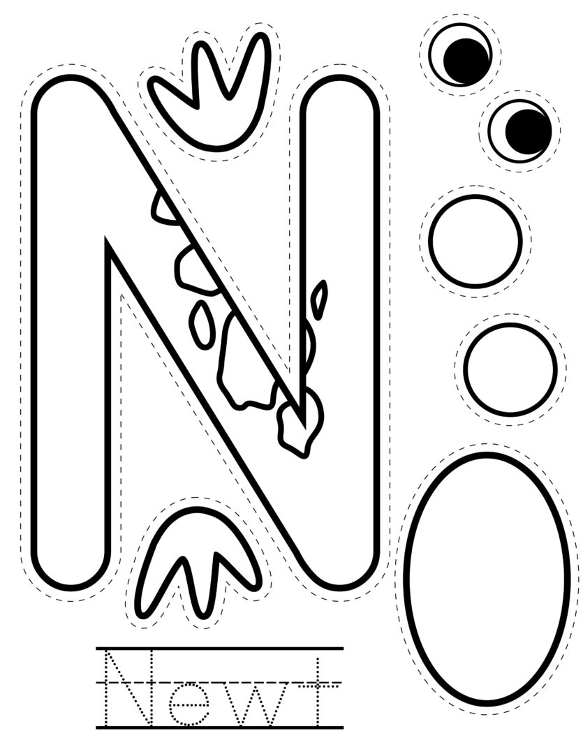 Letter N Craft: Newt Activity - Homeschooling Preschool