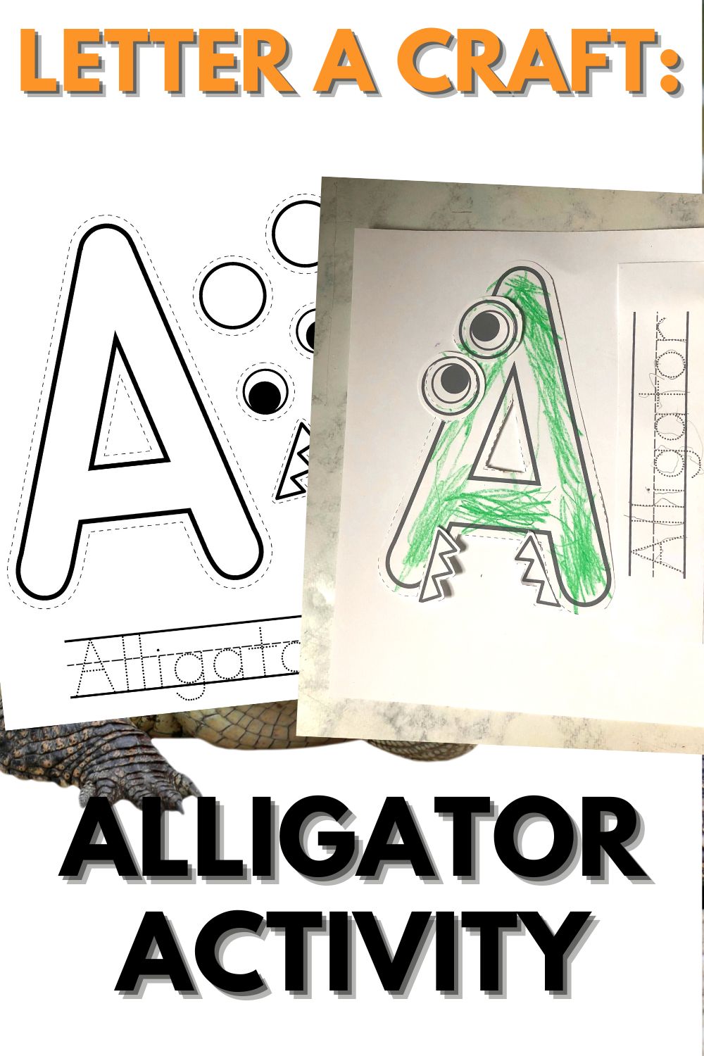 Letter A Craft: Alligator Activity
