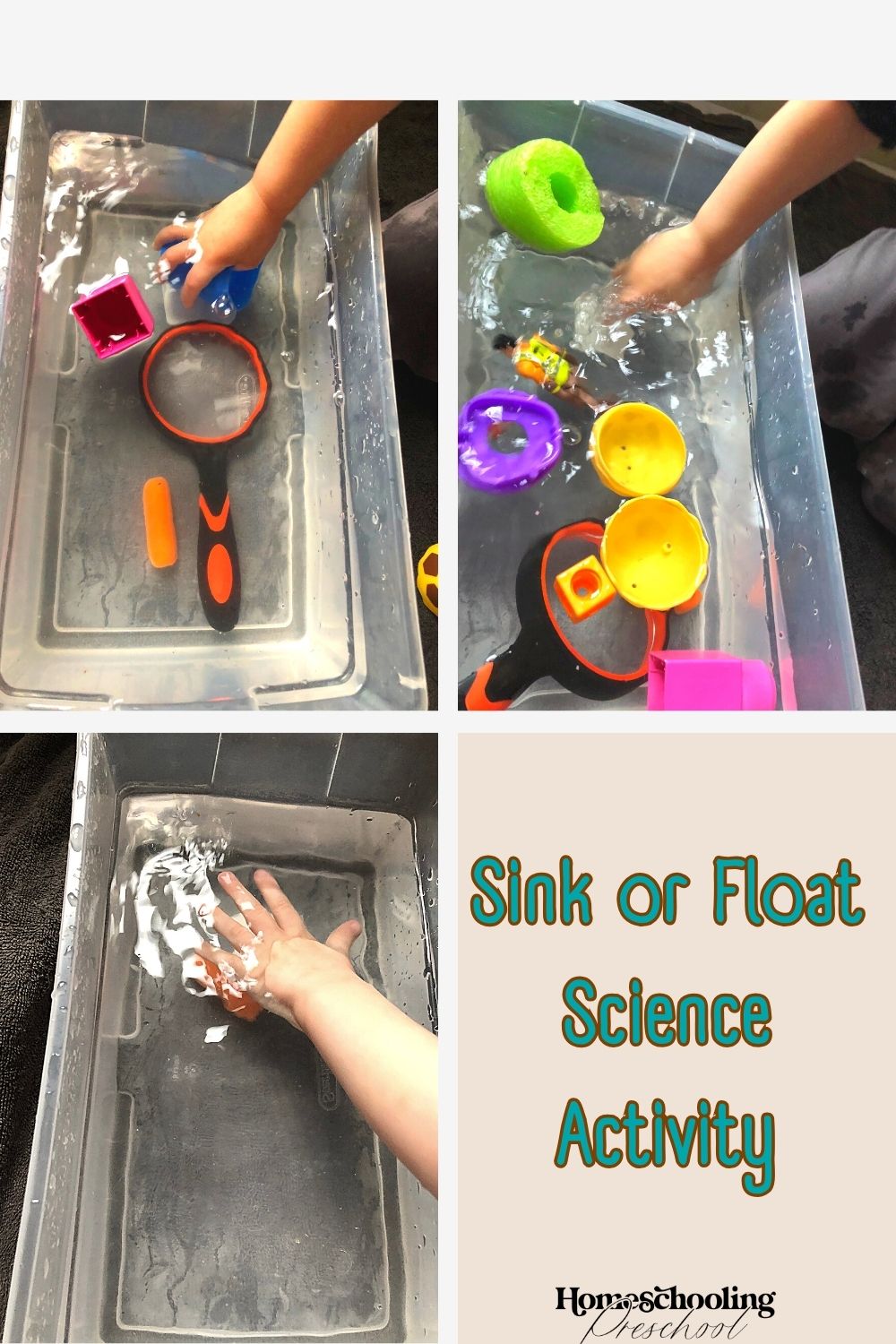 Sink or Float Science Activity