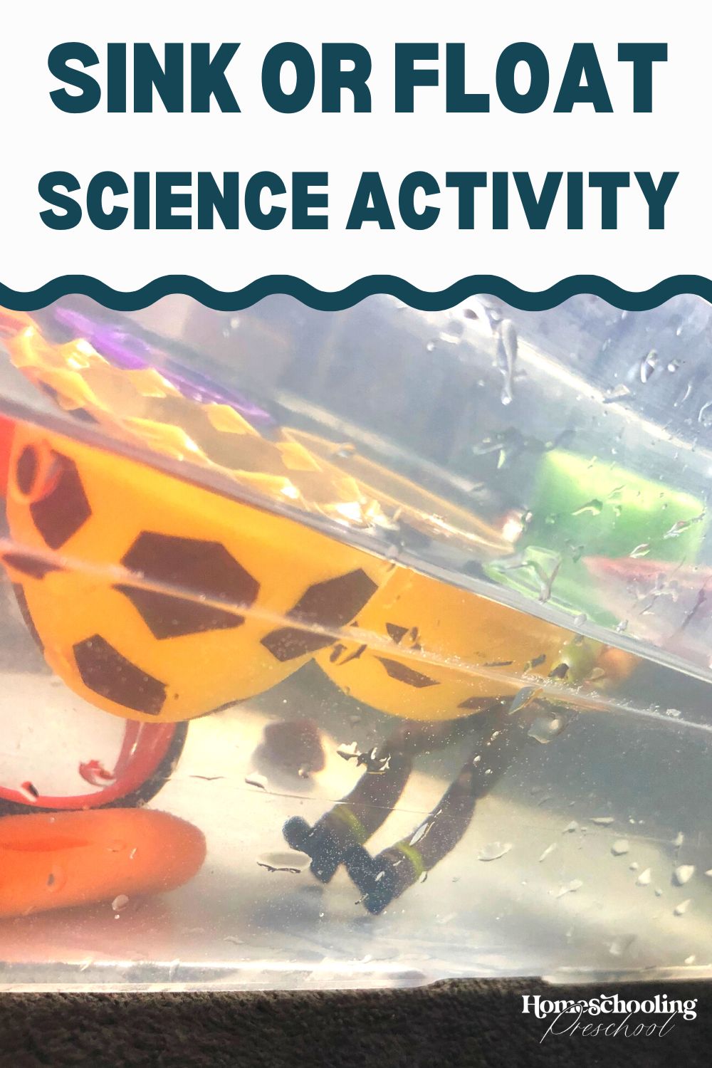 Sink or Float Science Activity