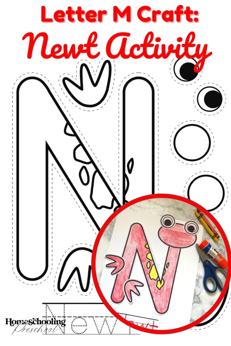 letter-n-craft-newt-activity-homeschooling-preschool