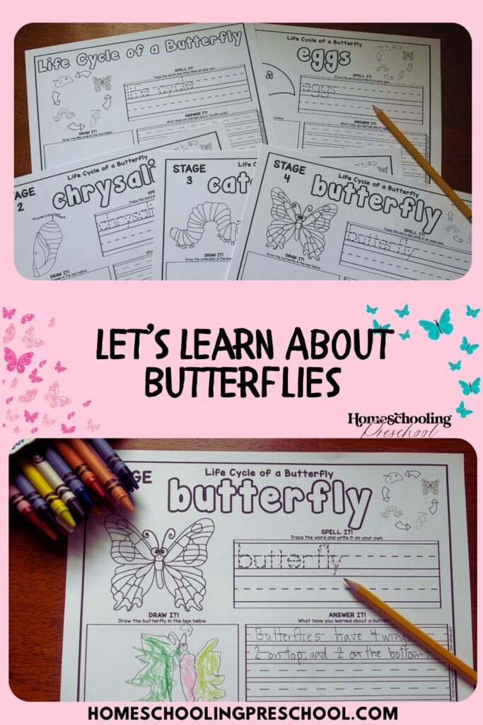 Let’s Learn About Butterflies