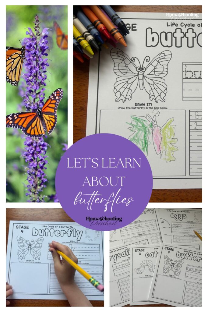 Let’s Learn About Butterflies