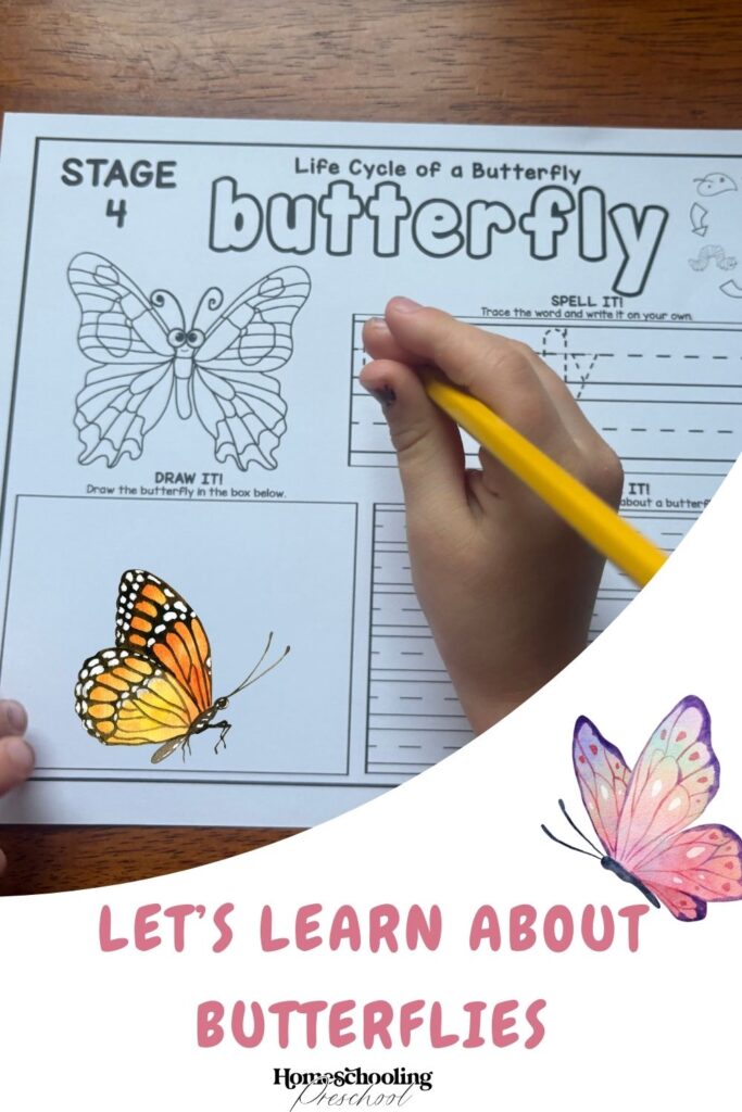 Let’s Learn About Butterflies