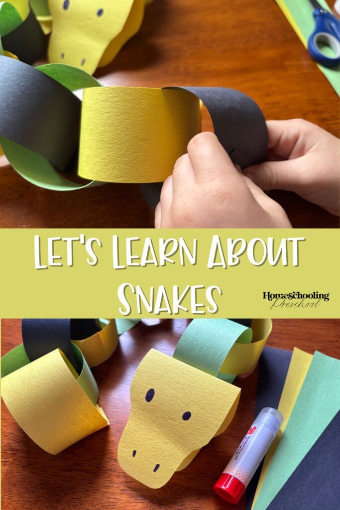 Let's Learn About Snakes