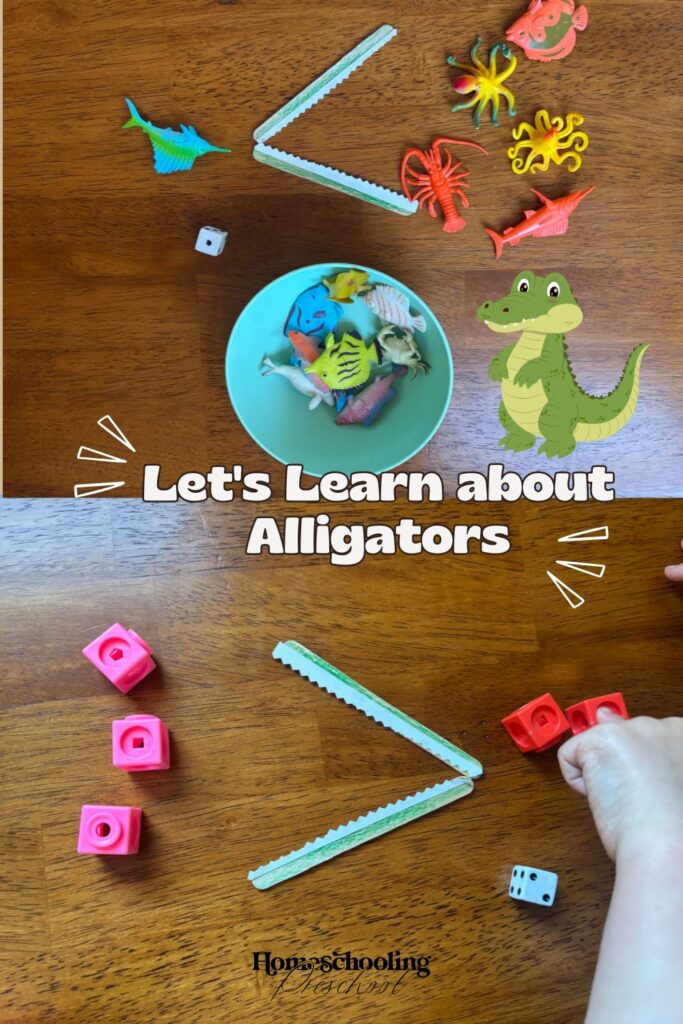 Let's Learn about Alligators