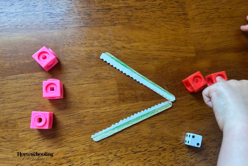 Let's Learn about Alligators